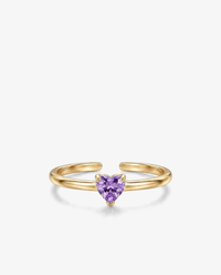 Purple / Gold