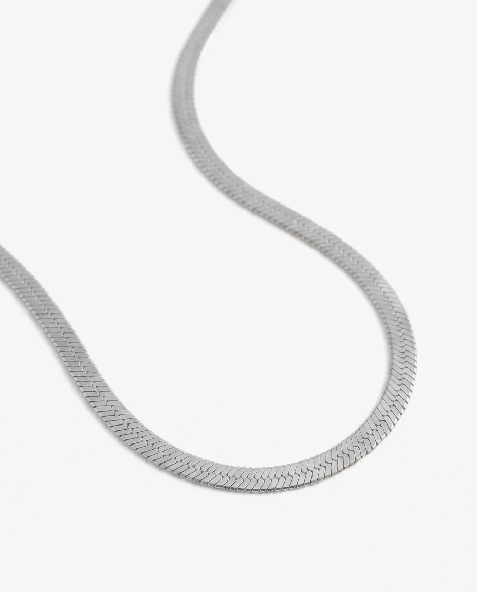 Flat Snake