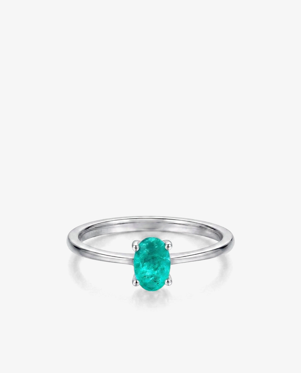 Paraiba / 5
