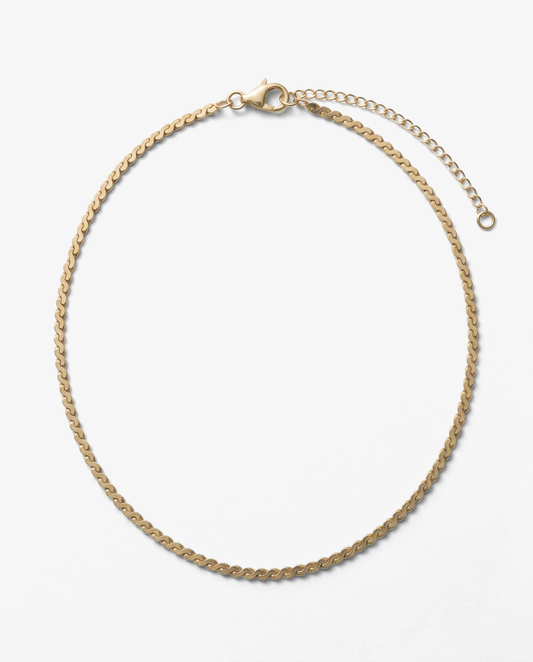 S-Chain